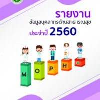 รายงานข้อมูลบุคลากรด้านสาธารณสุข พ.ศ. 2560 