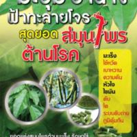 มะรุม ย่านาง ฟ้าทะลายโจร สุดยอดสมุนไพรต้านโลก<br /><br />
