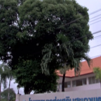 รพ.สต. ชะโนด จ.นครพนม รพ.สต. ติดดาว