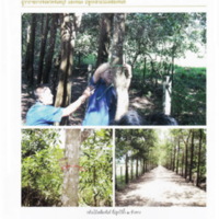 ตามรอยพระบาทปราชญ์แห่งสยาม (56)_resize.jpg