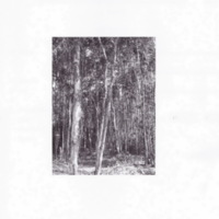 ป่าชายเลนอ่าวคุ้งกระเบน (84)_resize_resize_resize.jpg