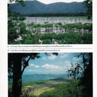 ป่าชายเลนอ่าวคุ้งกระเบน (12)_resize_resize_resize.jpg