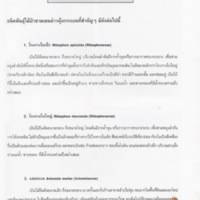 ป่าชายเลนอ่าวคุ้งกระเบน (29)_resize_resize_resize.jpg